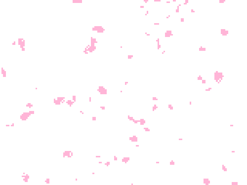 Animated Sakura